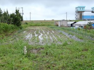 台風2号　1　230604